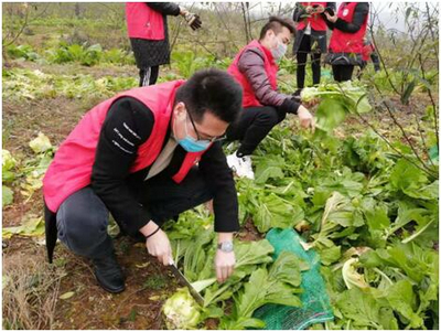 必发365(中国游)乐趣网投天天必发